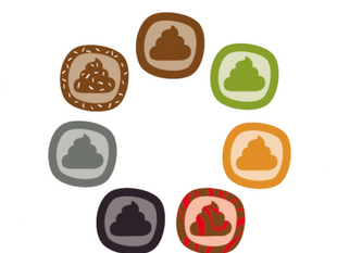 Колір калу у котів та собак. Який нормальний?