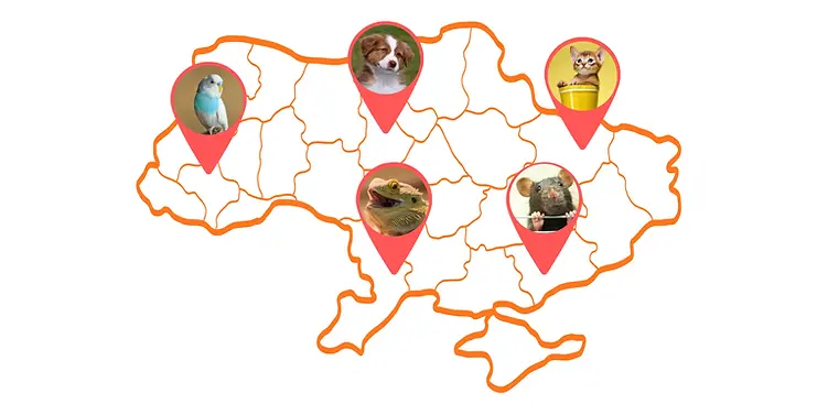 Ветеринарні онлайн консультації,.webp