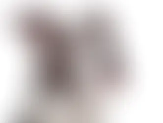 Американський пітбультер’єр