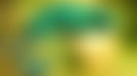 Симптоми хвороб у хамелеонів. Як допомогти і профілакувати?