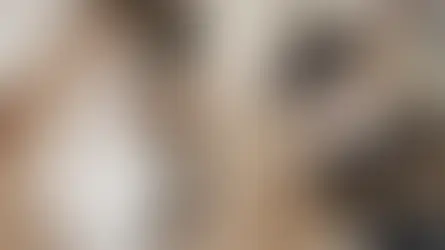 Догляд за котом, який втратив зір