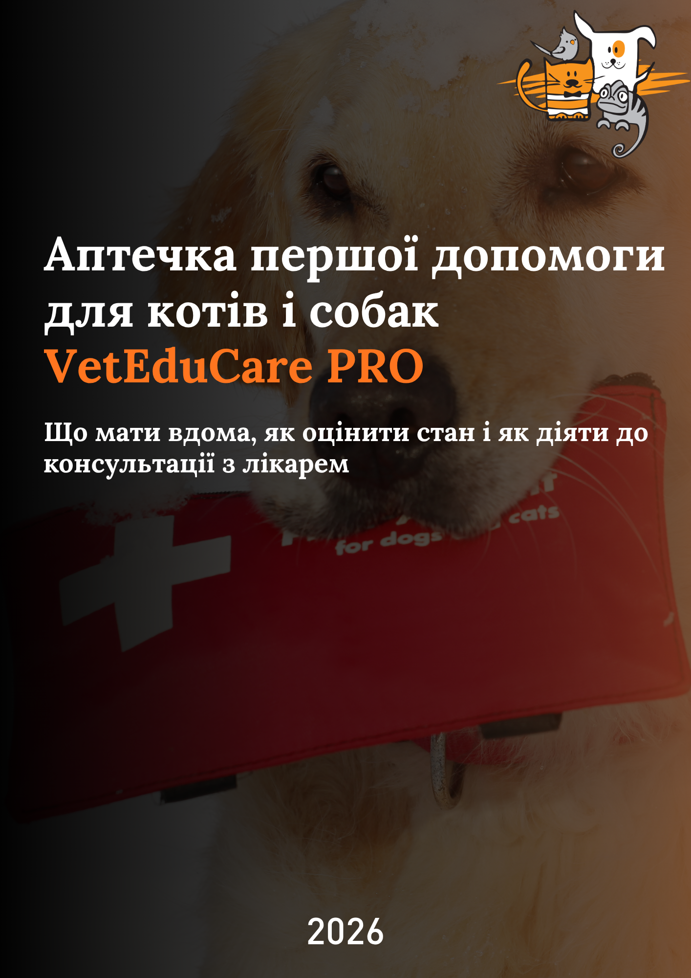Аптечка першої допомоги для котів і собак VetEduCare PRO