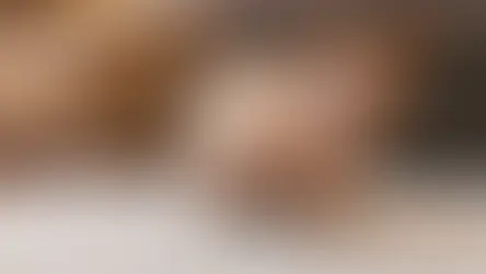 Породка котів Пітерболд