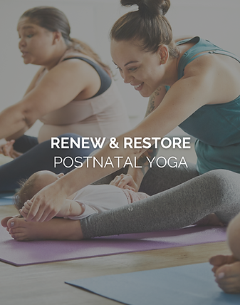 Post Natal Launch.png