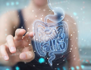Gut Microbiome Test
