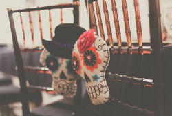 Jasmin Van T-787.jpg