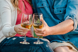 Jasmin Van T-138.jpg