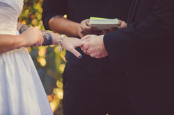 Jasmin Van T-558.jpg