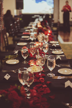 Jasmin Van T-786.jpg