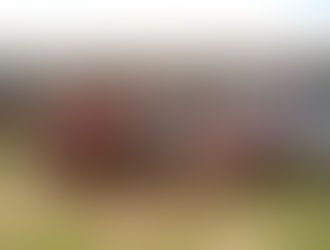 Kudjoe Manfred and his community volunteer service in Tamale, Northern Region about the Monkeypox outbreak. 