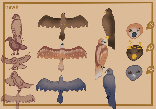 hawk.png