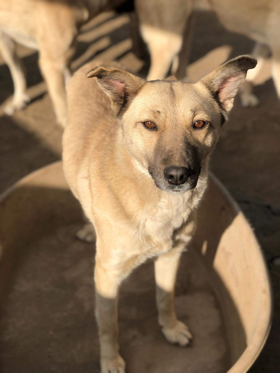 Thumbnail: Lulu, born January 2018