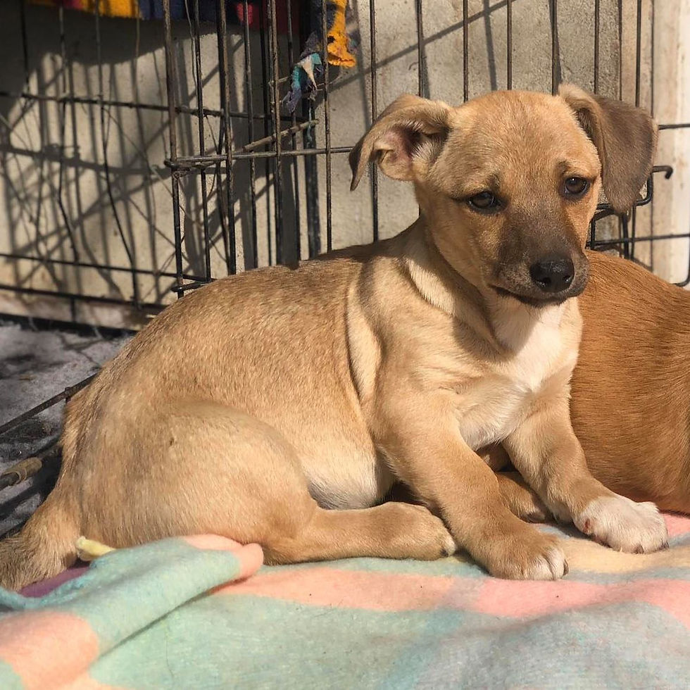 Thumbnail: Eilish, female, born Nov 2019