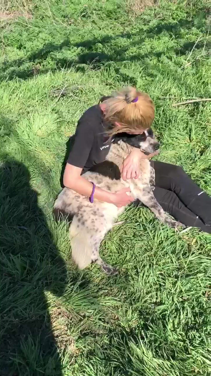 Thumbnail: Kirsty, born early 2018