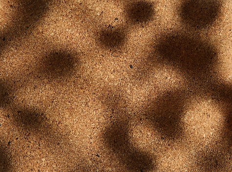Cork Material Sample.jpeg