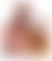 AVOCATUL FIRMEI: ORDONANTA DE PLATA IN NOUL COD DE PROCEDURA CIVILA