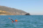 Venezuelan swimmer swimming in the Serra da Arrabida Natural Park
