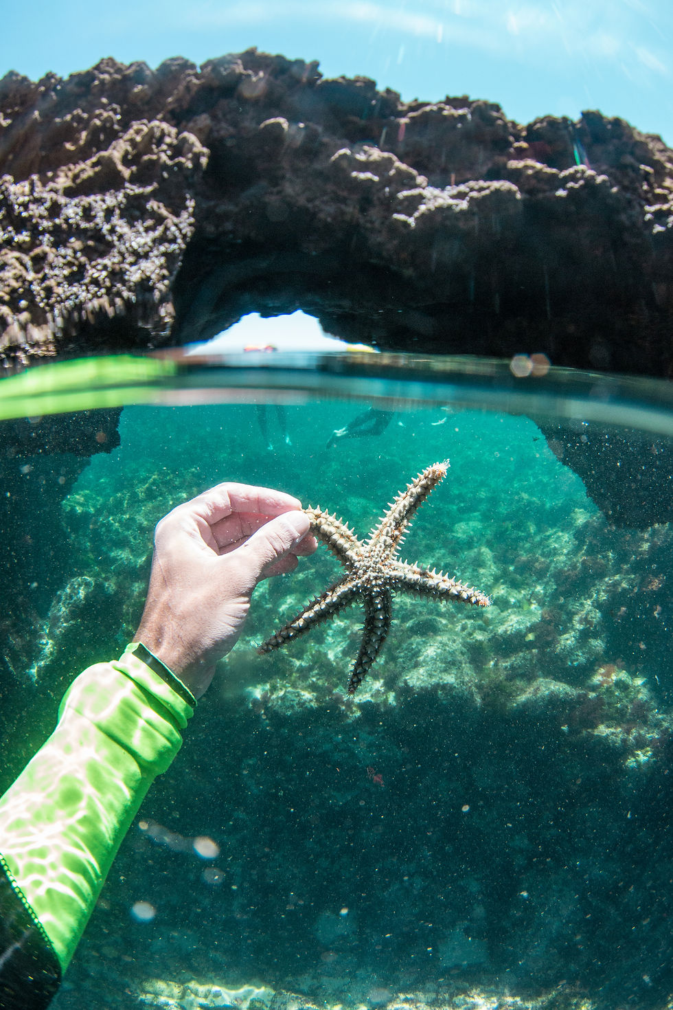 During this morning swim we found a starfish