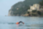 Swimming around the amazing Fort of Santa Maria da Arrabida
