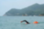Swimmer swimming solo on a beauty trip in the Arrabida natural reserve