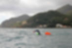 Young Portuguese swimmer swimming in Arrabida in preparation for the Berlengas Peniche Crossing