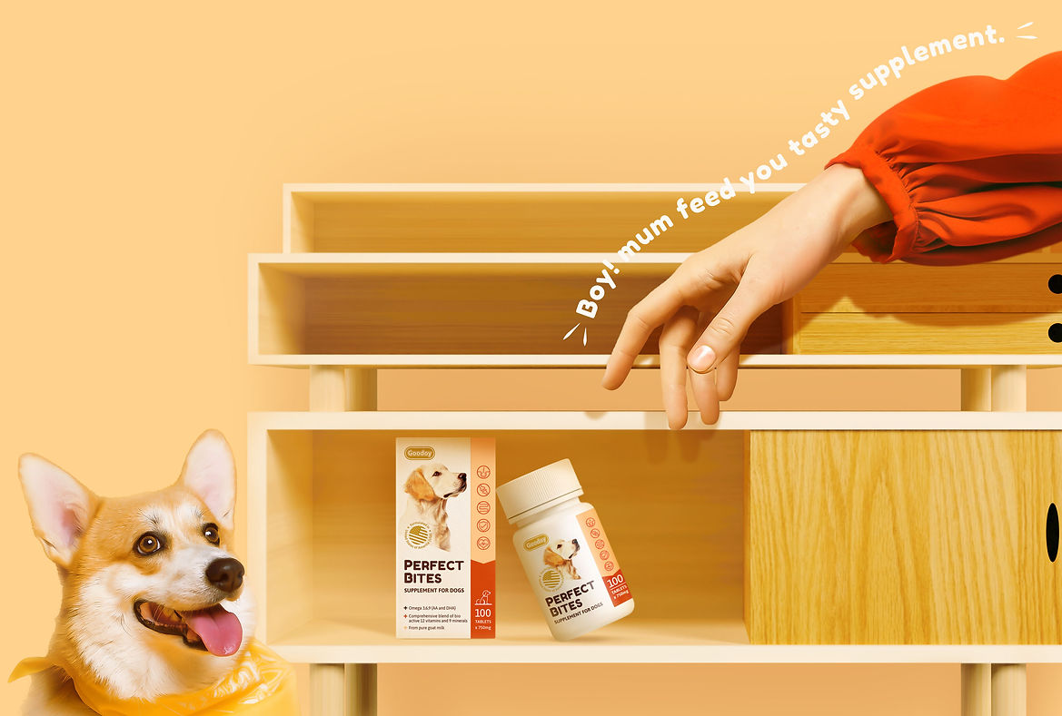 3D Perfect Bite Packaging_12.jpg