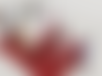 BEURSSTAND SPORTDIENST BRUGGE