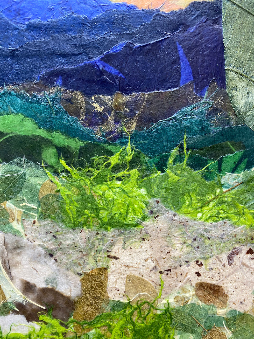 Thumbnail: "Moon and Cacti"