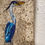 Thumbnail: "Blue Heron"