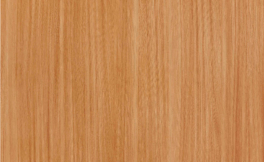 Kauri