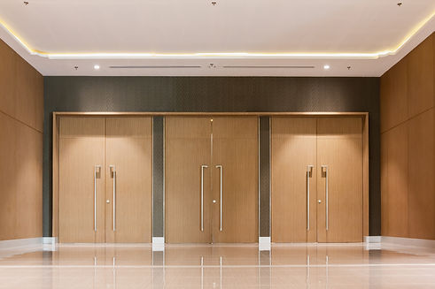 door entrance of hall in hotel.jpg