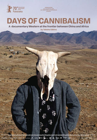 International, Documentary