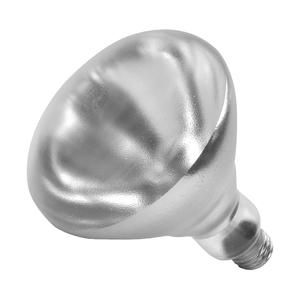 Shat-R-Shield Inc Heat Lamp Bulb Clear each