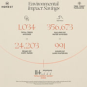 2022_BEAUTY_TREE_FREE_INFOGRAPHIC.jpg