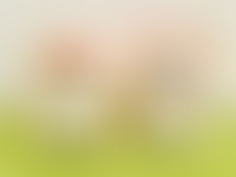 ラウンドワン限定プライズ商品「かぶりっこぬいぐるみ」