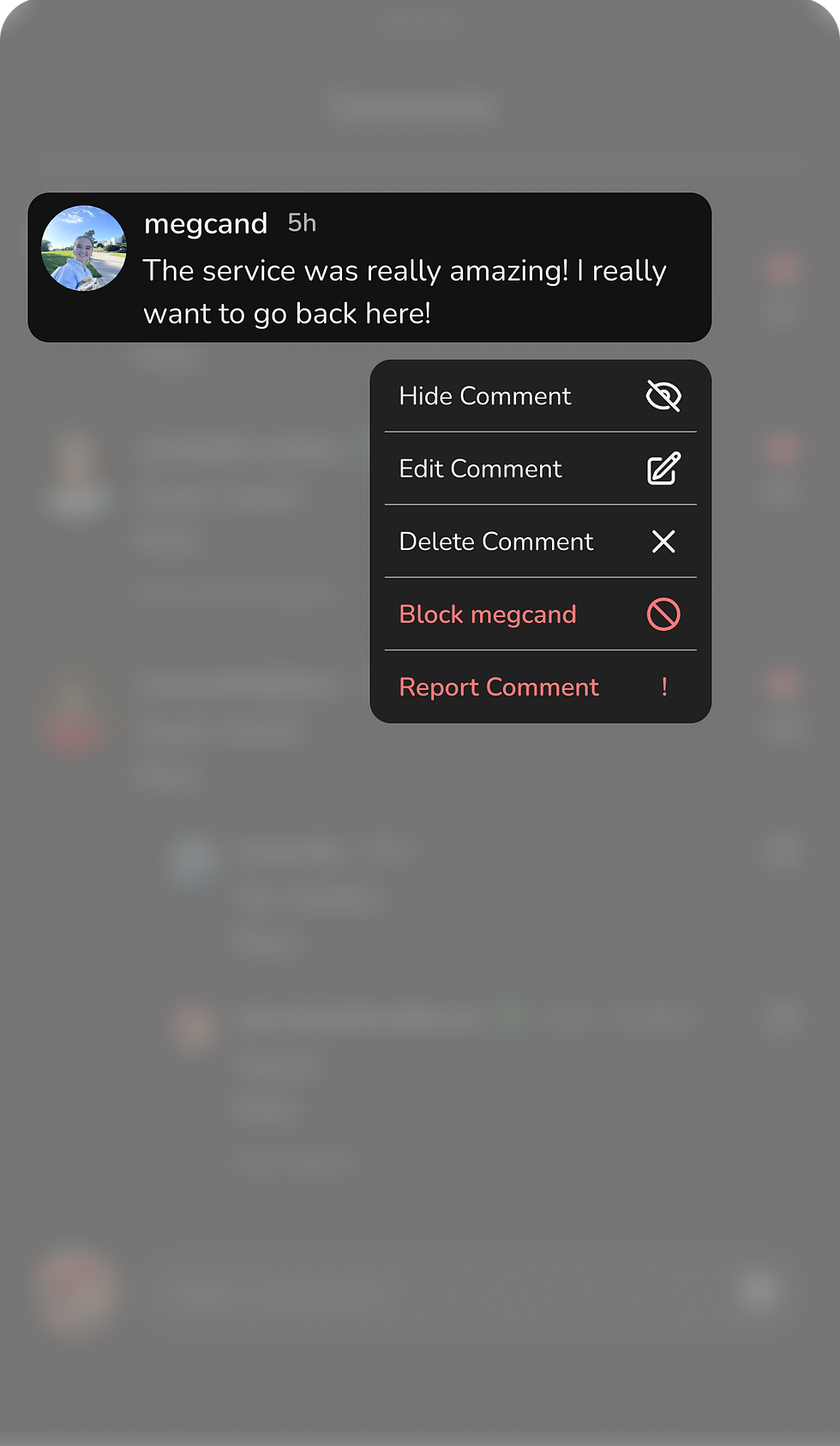Dark mode_Hold Comment.png