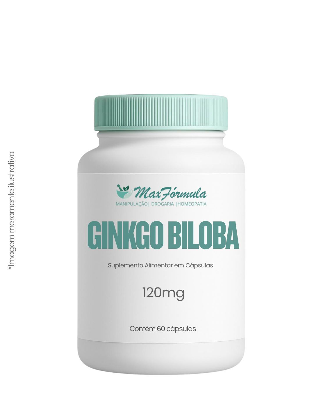 Ginkgo Biloba 120mg 60 cápsulas