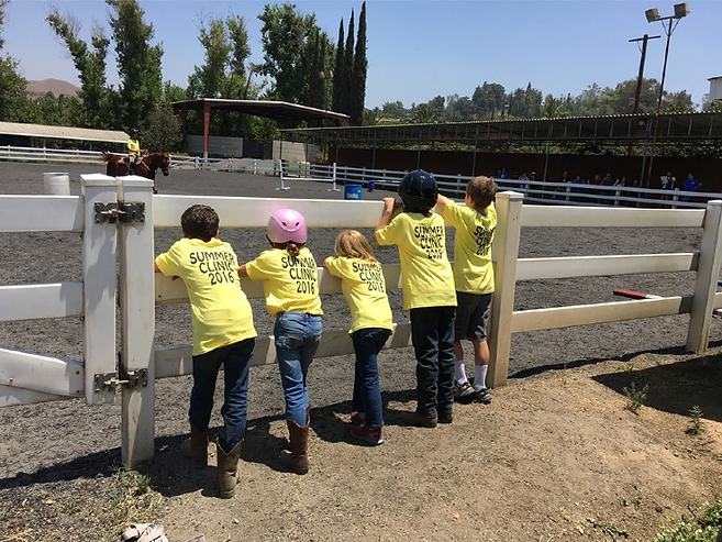 El Camino Ranch Summer Camp, El Camino Ranch Summer Clinic, Summer Clinic redlands, summer camp redlands, horse camp, el camino ranch, horse riding, horse lessons
