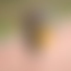 KPL matkustaa Jäämeren tuplalle - kovat pelit Kempeleessä ja Pattijoella