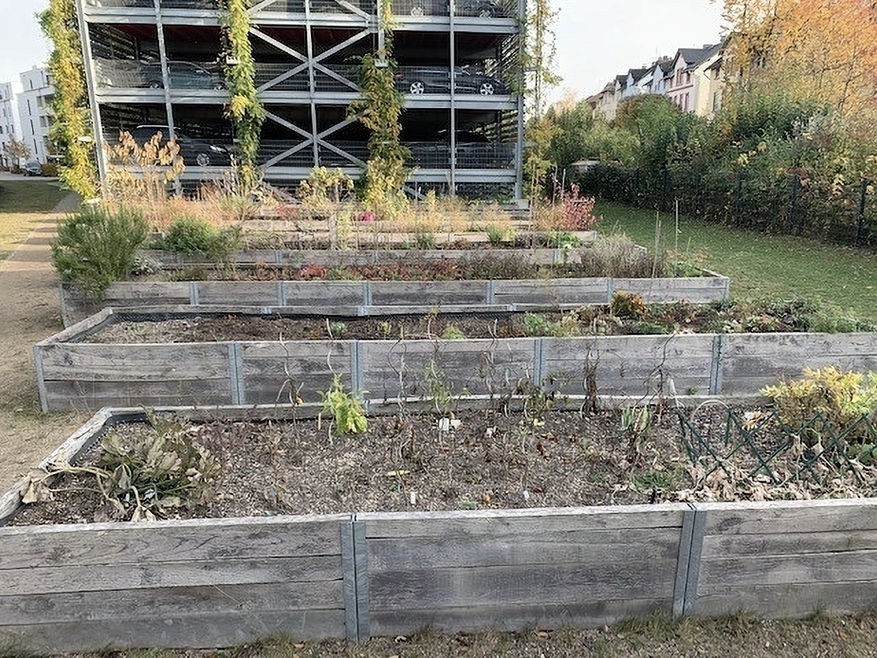 Urban Gardening im Stadtquartier. Begrünte Fassade des Parkdecks