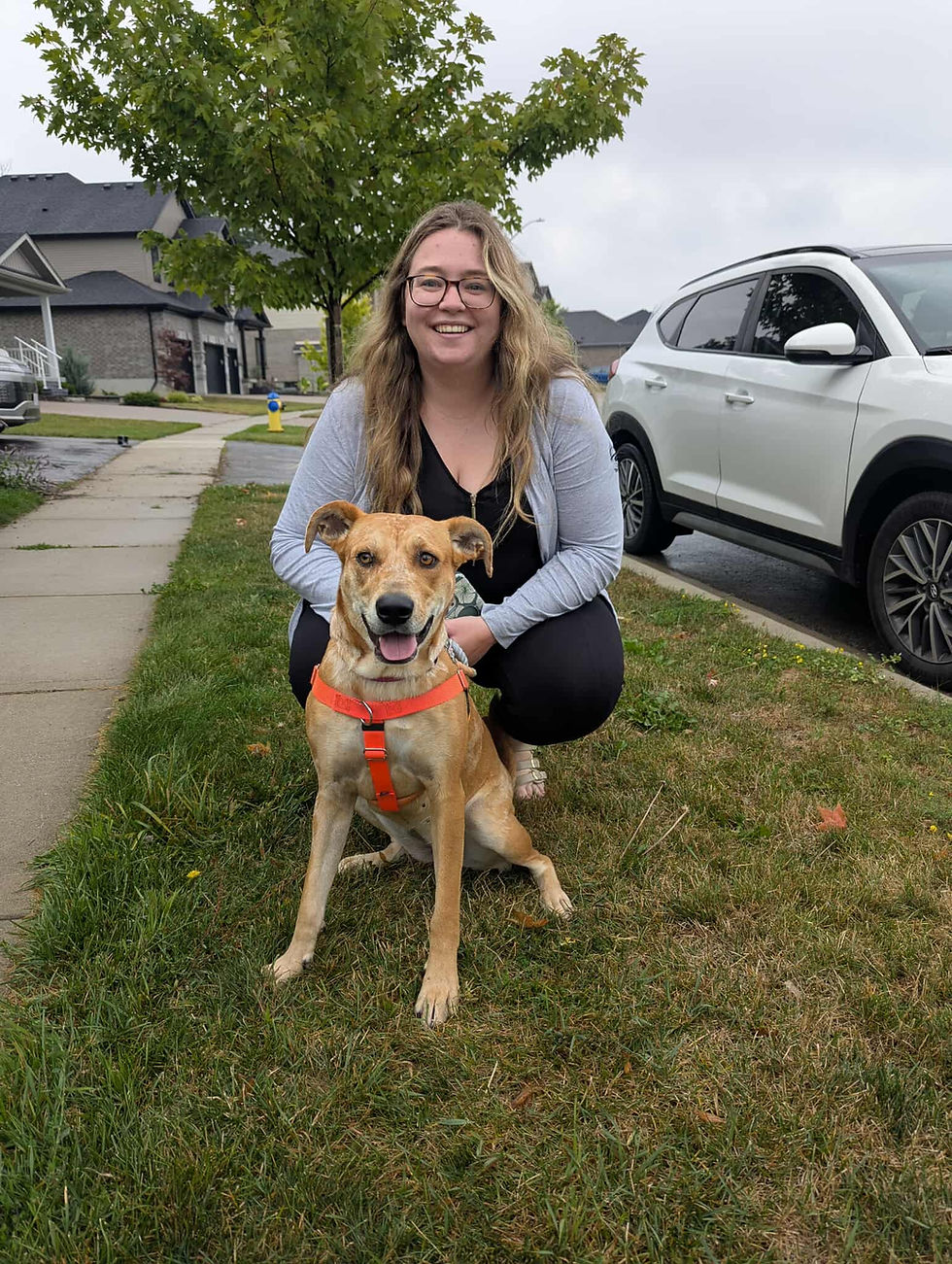 532606578_2196765860747006_1656587422957179237_n