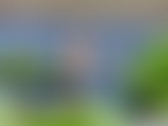 Major website update: new albums, new photos and recommendations
