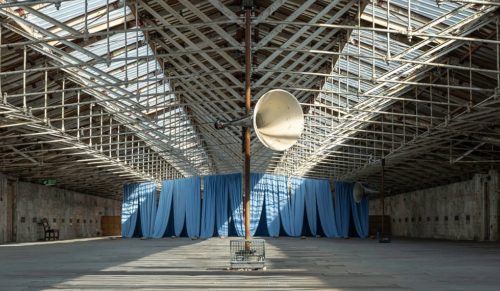 slide 11_DSC03528-Edit copy.jpg