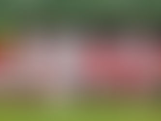 トップチーム 第48回千⾥ニュータウン少年野球⼤会 3位入賞！