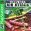 Thumbnail: Army Men Air Attack