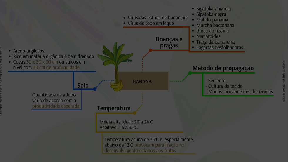 ARTE CANAL YOUTUBE (2).png