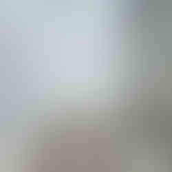 อมโม | Ommo มีส่วนในการจัด INBOX cafe โดยมีกวางตัวผู้ กวางตัวเมีย ลูกกวาง 2 ท่า และ กระต่าย สไตล์โมเดิร์นโพลีกอน สีขาวมุก