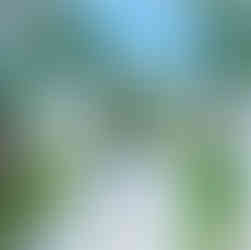 มา"ฉะเชิงเทรา" ทั้งที ถ้าไม่ได้มา IN BOX คาเฟ่ ก็เหมือนมาไม่ถึงคาเฟ่ สุดเก๋ท่ามกลางธรรมชาติสีขาวโอบล้อมไปด้วยต้นไม้สีเขียวลงตัวสุดๆ มุมถ่ายรูปเช็คอินเยอะมากๆ ชวนกันมานั่งชิลรับลม ชมน้ำตก