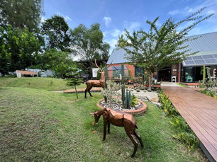 สวนกระบองเพชร พร้อมจำหน่ายกระถาง จากปูนซีเมนต์ขาว | รูปปั้นกวางสไตล์โมเดิร์นโพลีกอน