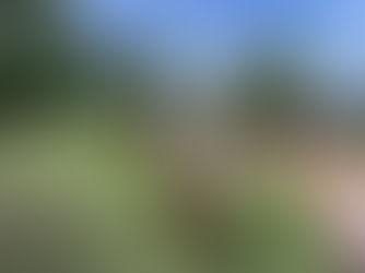 สวนกระบองเพชร พร้อมจำหน่ายกระถาง จากปูนซีเมนต์ขาว | รูปปั้นกวางสไตล์โมเดิร์นโพลีกอน